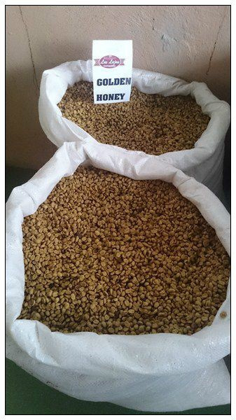 Kostaryka Las Lajas Black Honey Kostaryka Las Lajas Black Honey