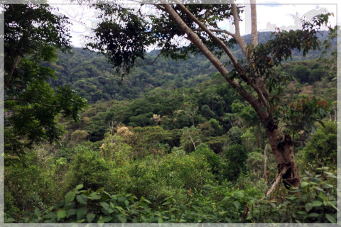 Boliwia Yungas Aymara Boliwia Yungas Aymara