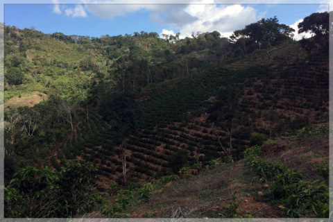 Boliwia Yungas Aymara Boliwia Yungas Aymara