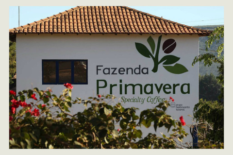 Brazylia Primavera Yellow Catuai Honey Brazylia Primavera Yellow Catuai Honey