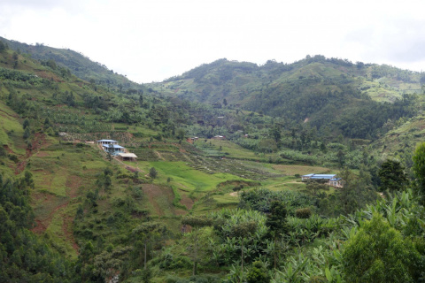 Burundi Sehe Natural Burundi Sehe Natural