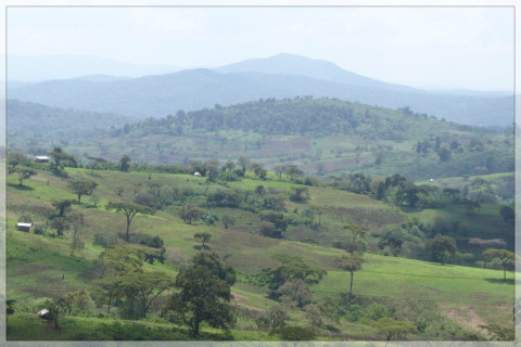 Etiopia Deri Kocha Natural Etiopia Deri Kocha Natural