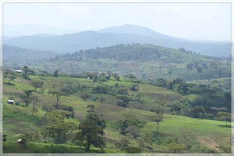 Etiopia Deri Kocha Espresso Etiopia Deri Kocha Espresso