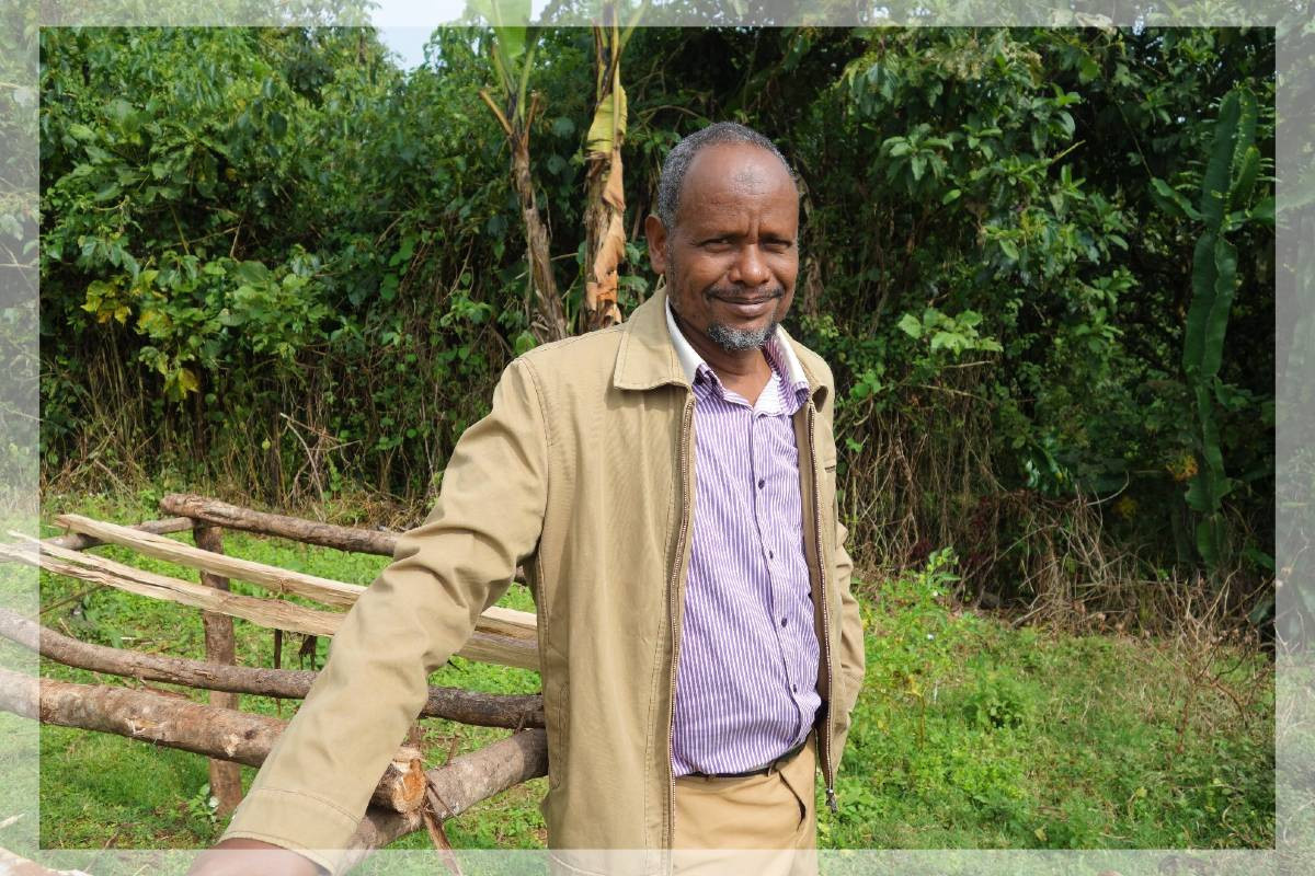 Etiopia Jimma Botto Honey Etiopia Jimma Botto Honey