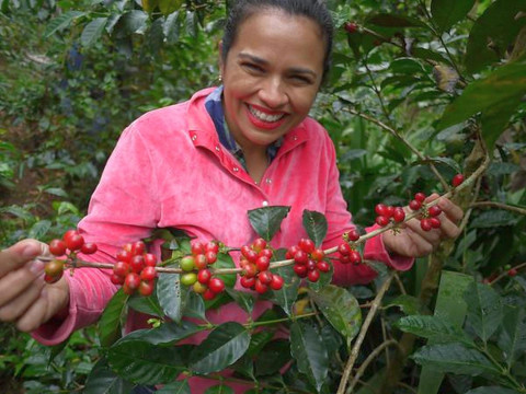 Honduras Caballero La Julia Honduras Caballero La Julia