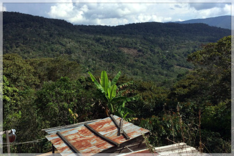Boliwia Yungas Aymara Boliwia Yungas Aymara