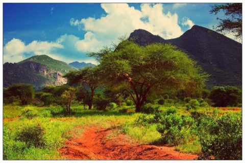 Kenia Nyakabugi AA Kenia Nyakabugi AA