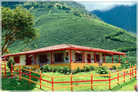 Kolumbia Finca Los Alpes Red Honey Kolumbia Finca Los Alpes Red Honey