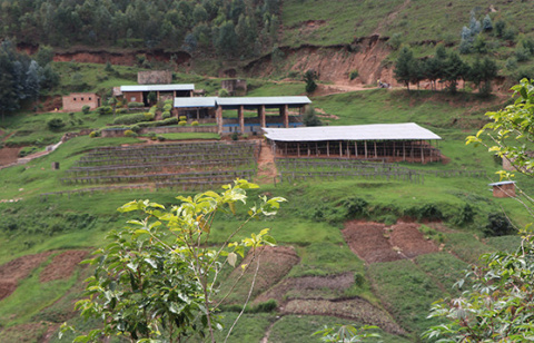 Rwanda Gikongoro Remera Rwanda Gikongoro Remera