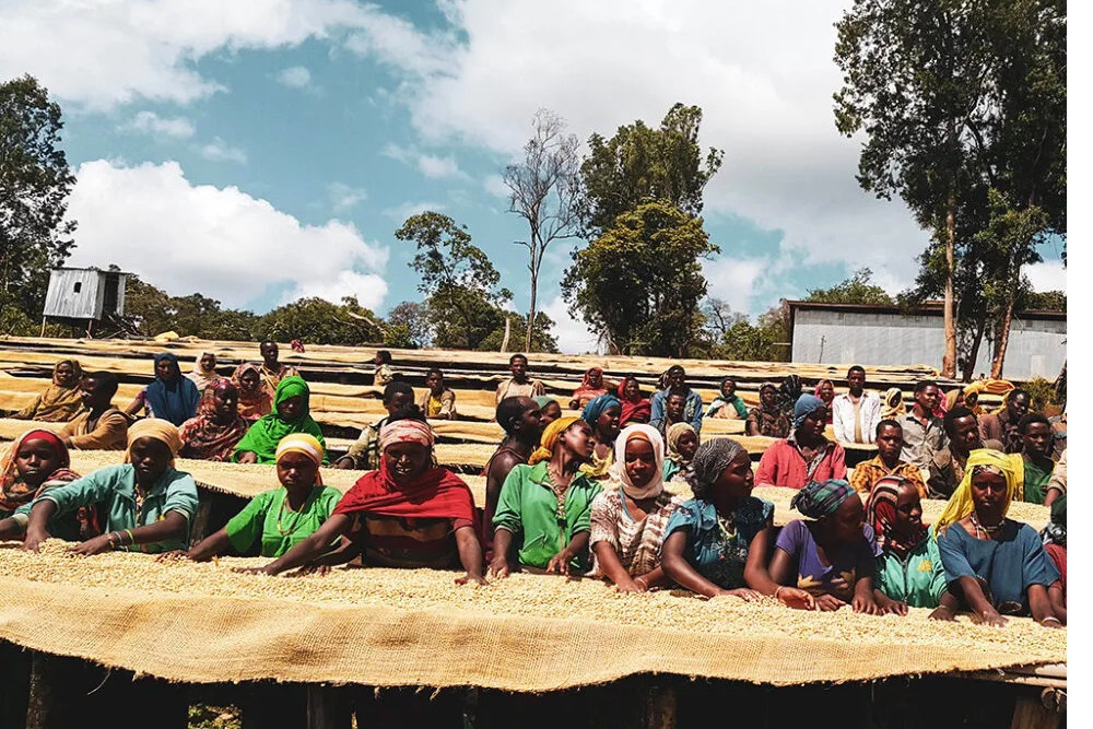 Etiopia Nensebo Gora KoneGora Kone Etiopia Nensebo Gora KoneGora Kone
