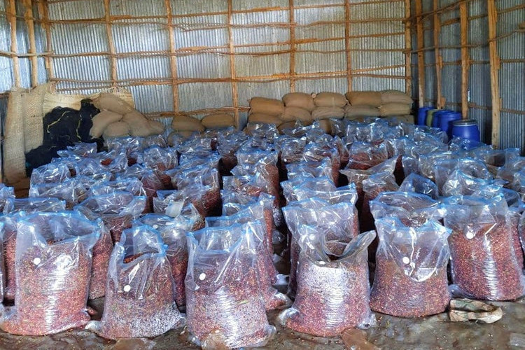 Etiopia Yirgacheffe Idido Natural Etiopia Yirgacheffe Idido Natural