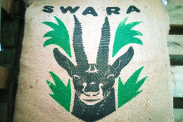 Kenia Swara PB