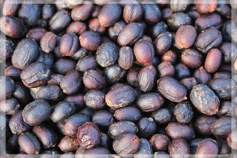 Kolumbia La Veranera Natural Anaerob Kolumbia La Veranera Natural Anaerob