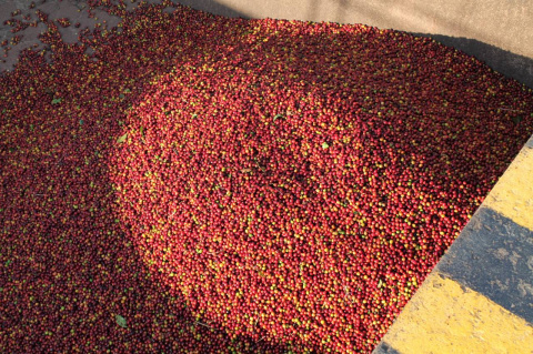 Salwador Las Llantas Anaerobic Natural