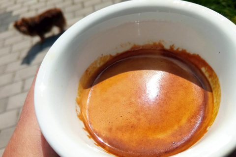 Brazylia 2 x 500g Classic Espresso Tasting Brazylia 2 x 500g Classic Espresso Tasting