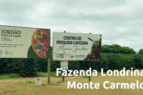 Brazylia Londrina Controlled Fermentation Brazylia Londrina Controlled Fermentation