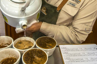 Gwatemala Finca MEDINA Yellow HONEY Espresso