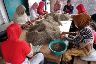 Indonezja JAVA Kerinci HONEY Espresso