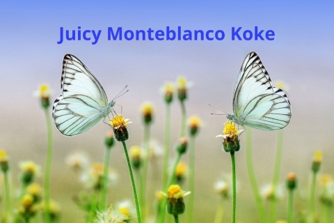 Juicy Monteblanco Koke Juicy Monteblanco Koke