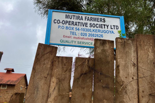 Kenia Kirinyaga Kagumo AB