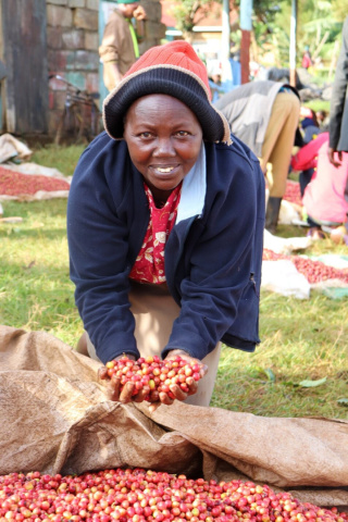 Kenia Kirinyaga Kagumo AB