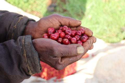 Kenia Kirinyaga Kagumo AB