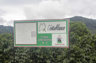 Kolumbia Monteblanco NECTAR CITRULLUS espresso