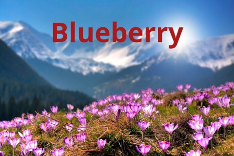 Kolumbia Monteblanco Caturra Bourbon Washed BLUEBERRY Kolumbia Monteblanco Caturra Bourbon Washed BLUEBERRY