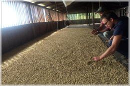 La Claudina - Puerto Alegre Natural Espresso