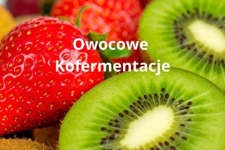 Owocowe Kofermentacje 2 x 250g
