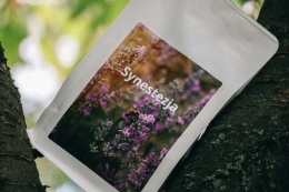Salwador Las Llantas Anaerobic Natural Espresso