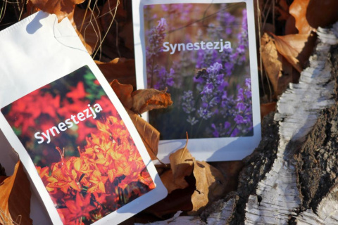 Synestezja Sole Mio Espresso Synestezja Sole Mio Espresso