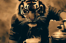 Tiger espresso set 2 x 500g