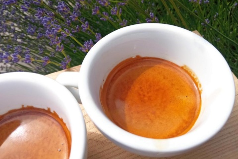 Brazylia Espresso Special Set 2 x 500g