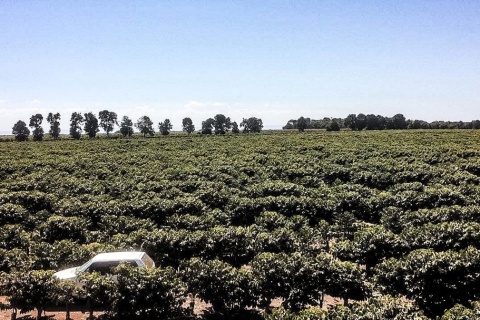 Brazylia Boa Vista Anderson Monteiro Andrade