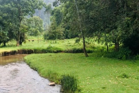 Etiopia Hambela Buku ABEL Natural