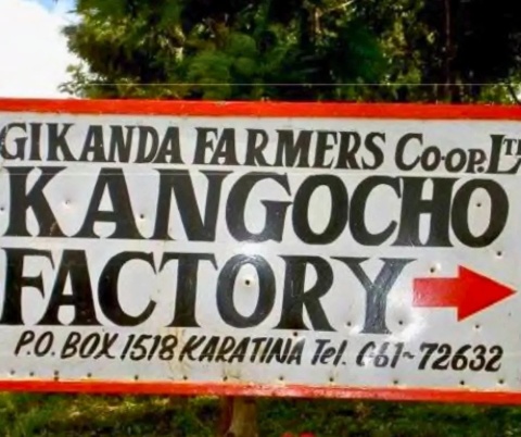 Kenyan Beauty Coffee