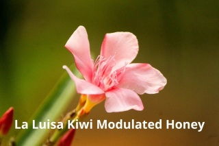 Kolumbia La Luisa Kiwi Modulated Honey