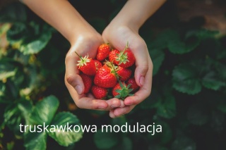 Kolumbia La Luisa STRAWBERRY Modulated Honey