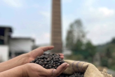 Meksyk Teocelo Finca SantOli Natural