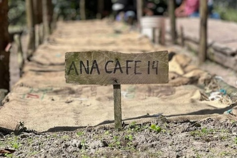 Meksyk Teocelo Finca SantOli Natural