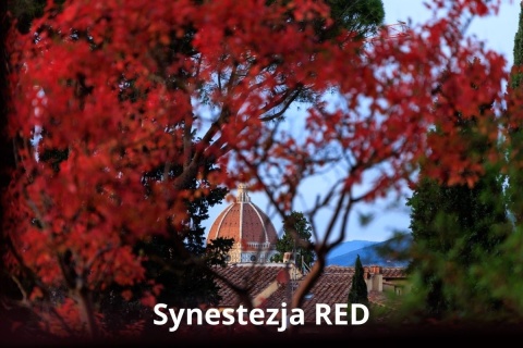 Synestezja RED Classic BV